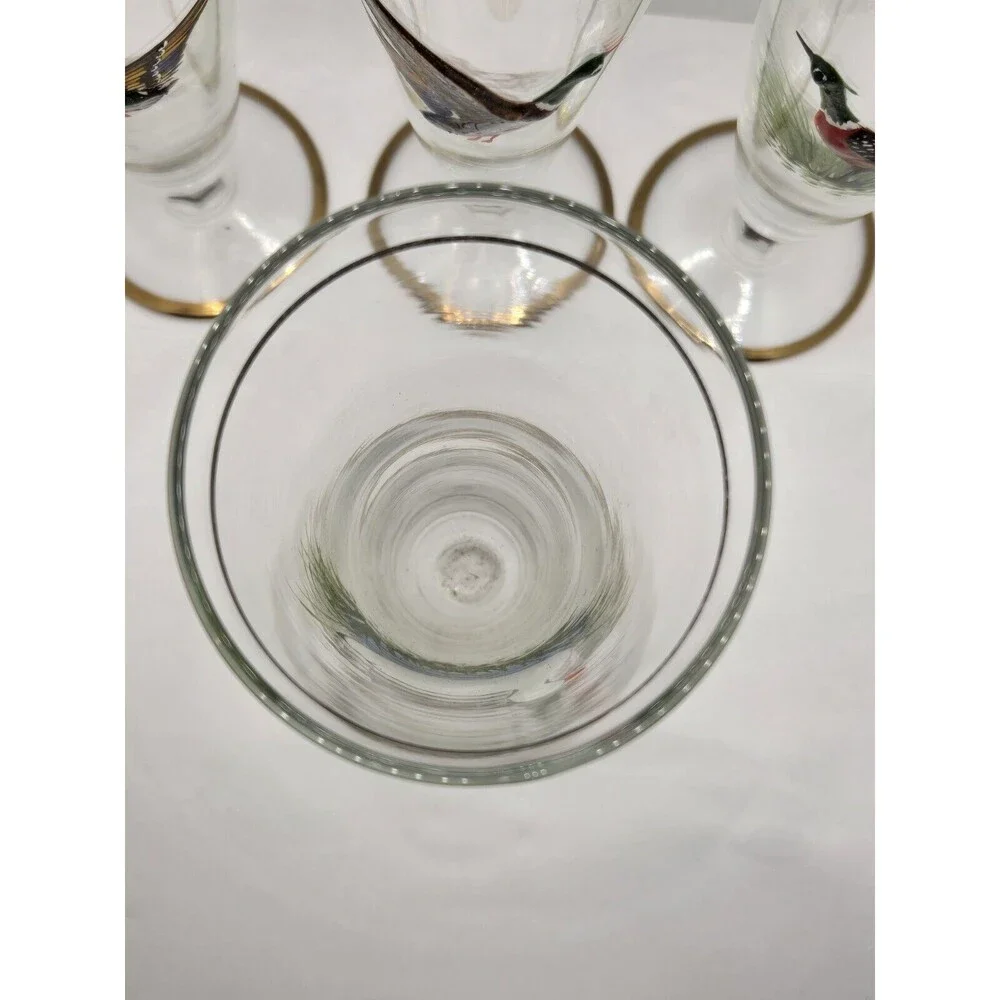 Set of 5 Vintage Wildlife Fowl Birds Pilsner Beer Glasses